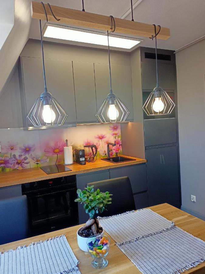 Apartament Radiostacja, Parking Free, Klimatyzacja 格利维采 外观 照片